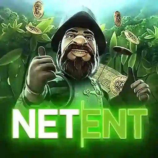 NetEntEn